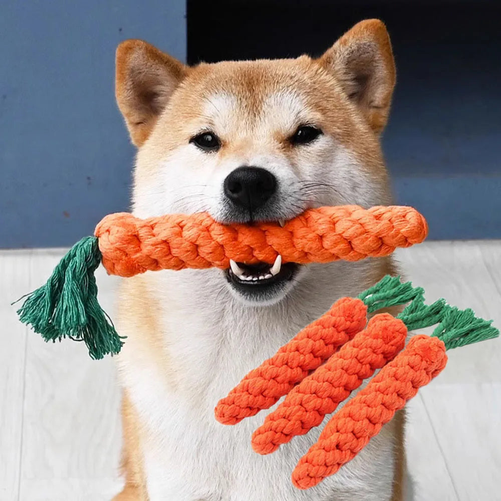 Carrot Bite Rope