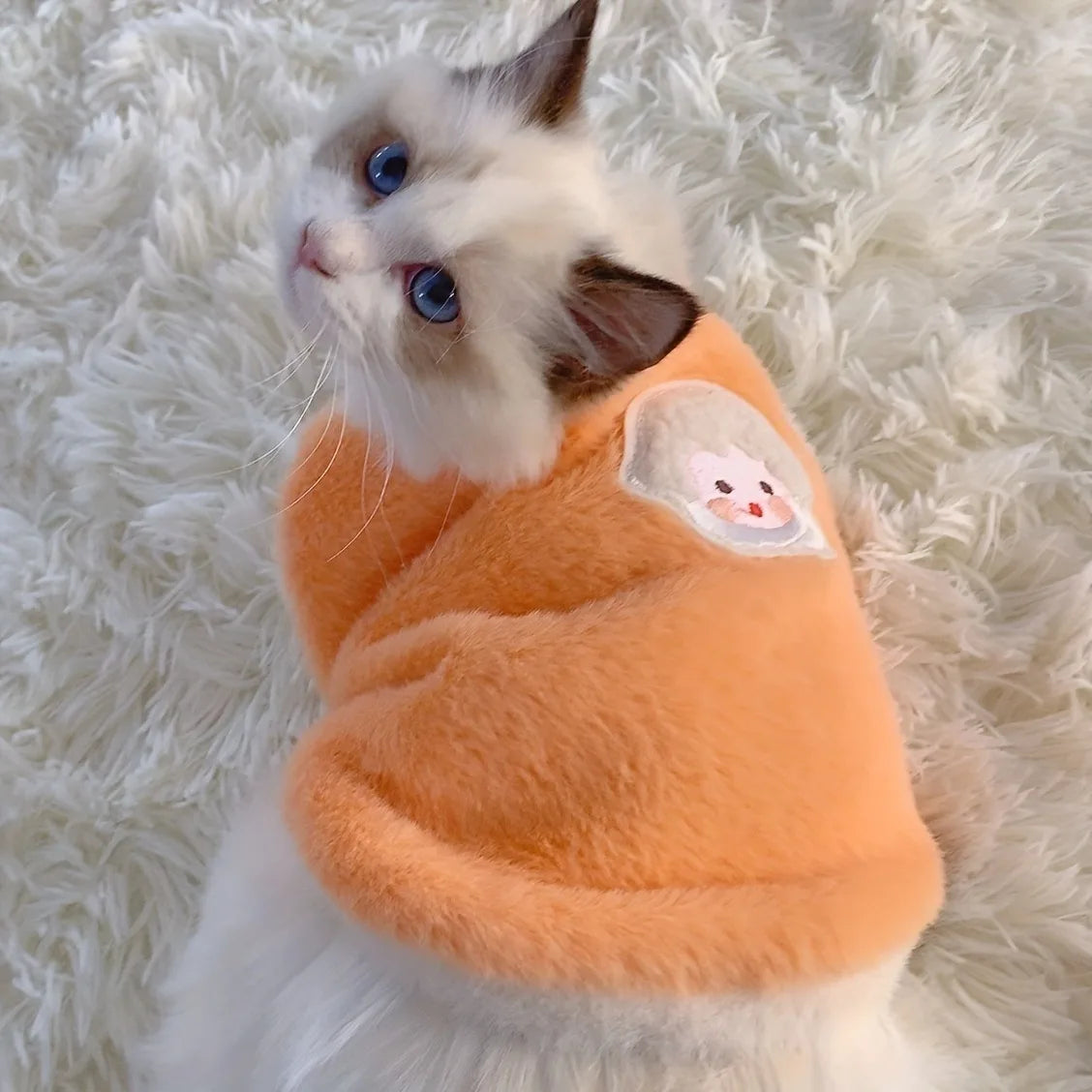 Warm Kittens Vests