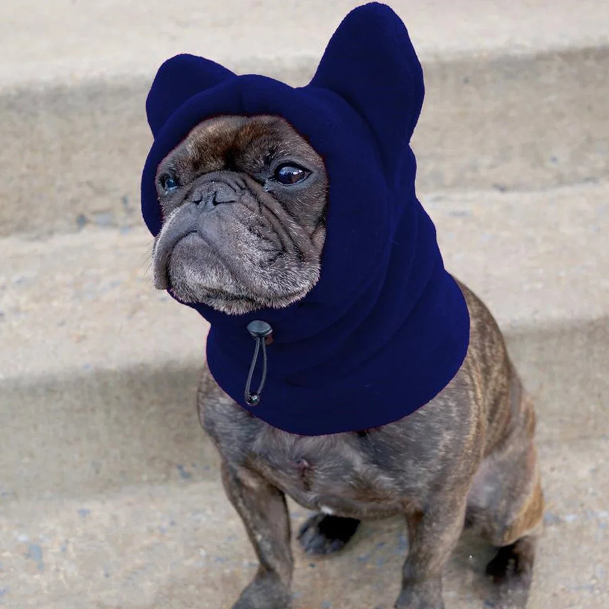 Cute Dog's Fleece Bear Hat