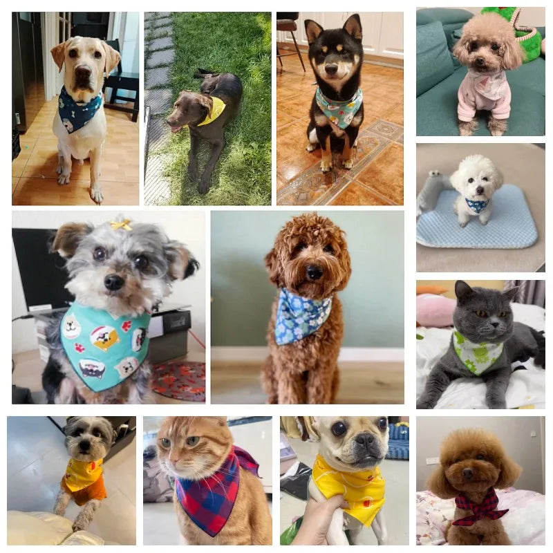 Pawfect Cotton Pet Bandana