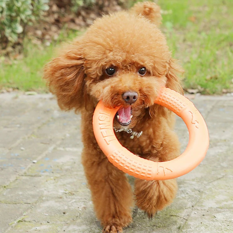 Ring Toy