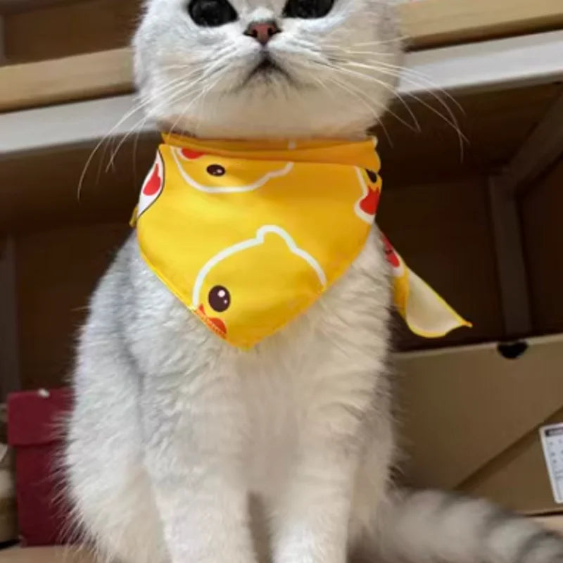 Pawfect Cotton Pet Bandana