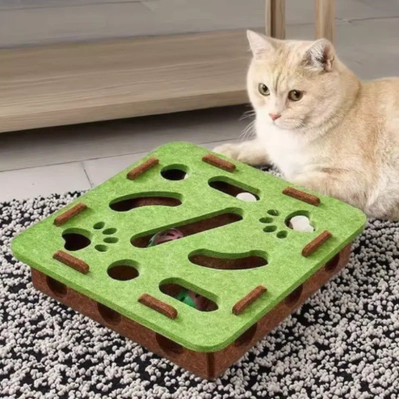 Interactive Cat Toy Maze
