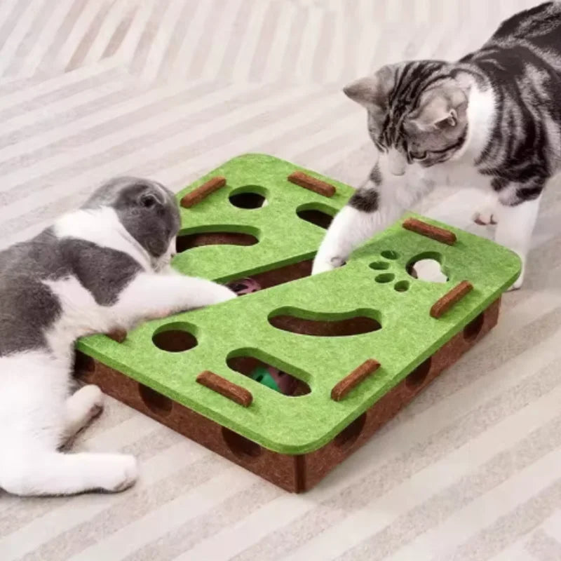 Interactive Cat Toy Maze