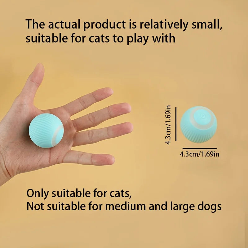 ZoomiBall – Smart Moving Cat Toy