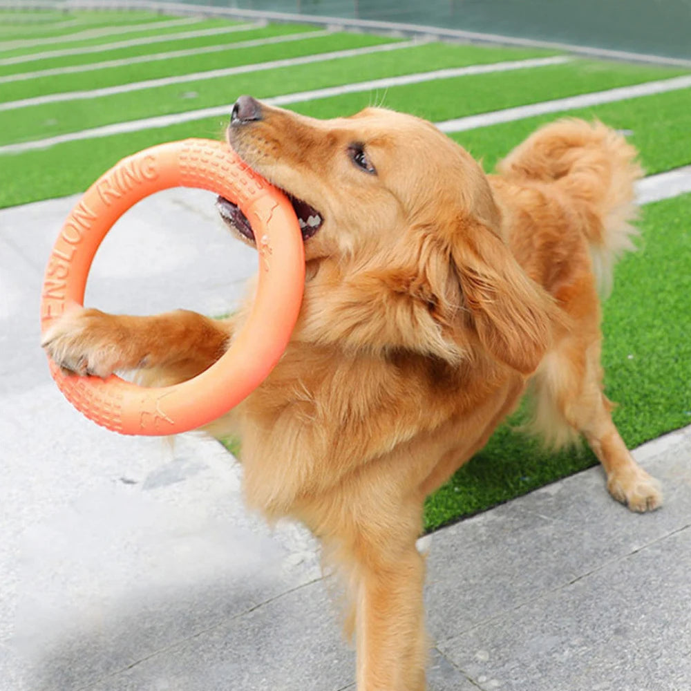 Ring Toy