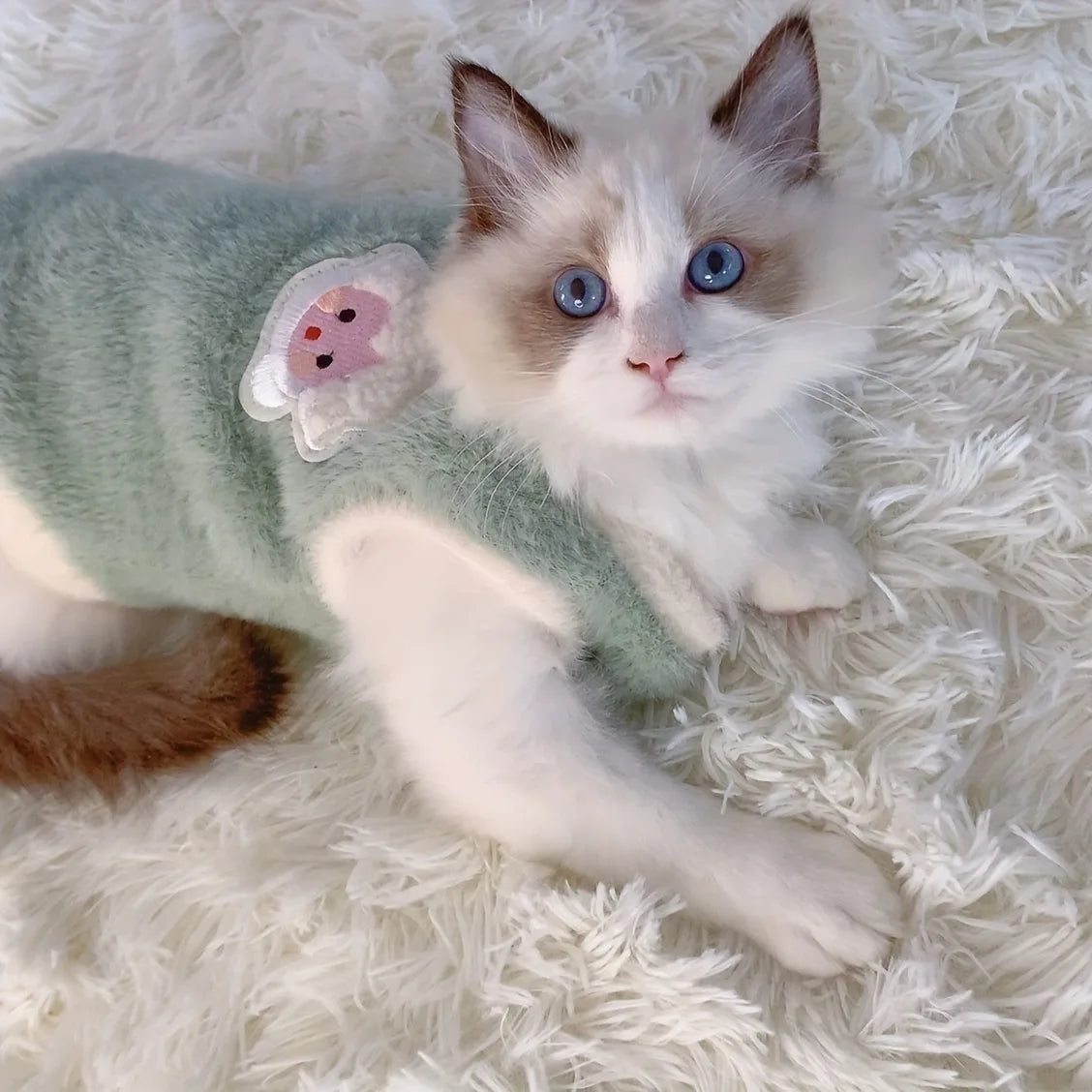 Warm Kittens Vests