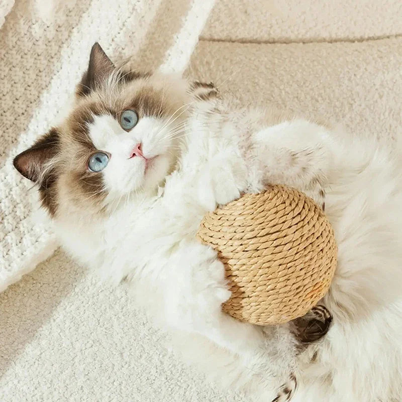 Interactive Sisal Cat Scratching Ball