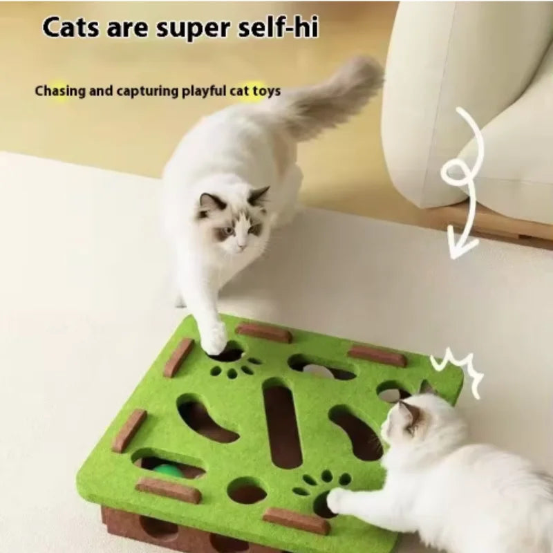 Interactive Cat Toy Maze