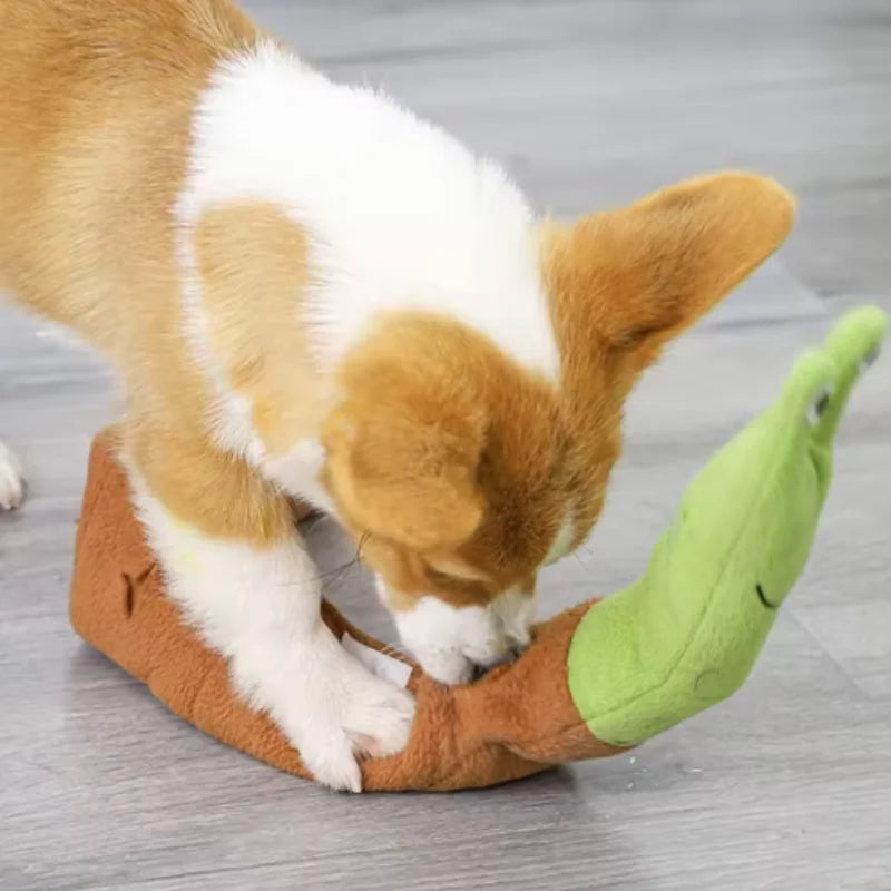 Snail Sniffing Toy